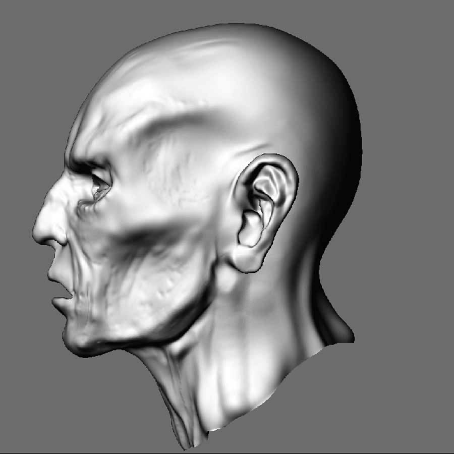 sculpt2.jpg