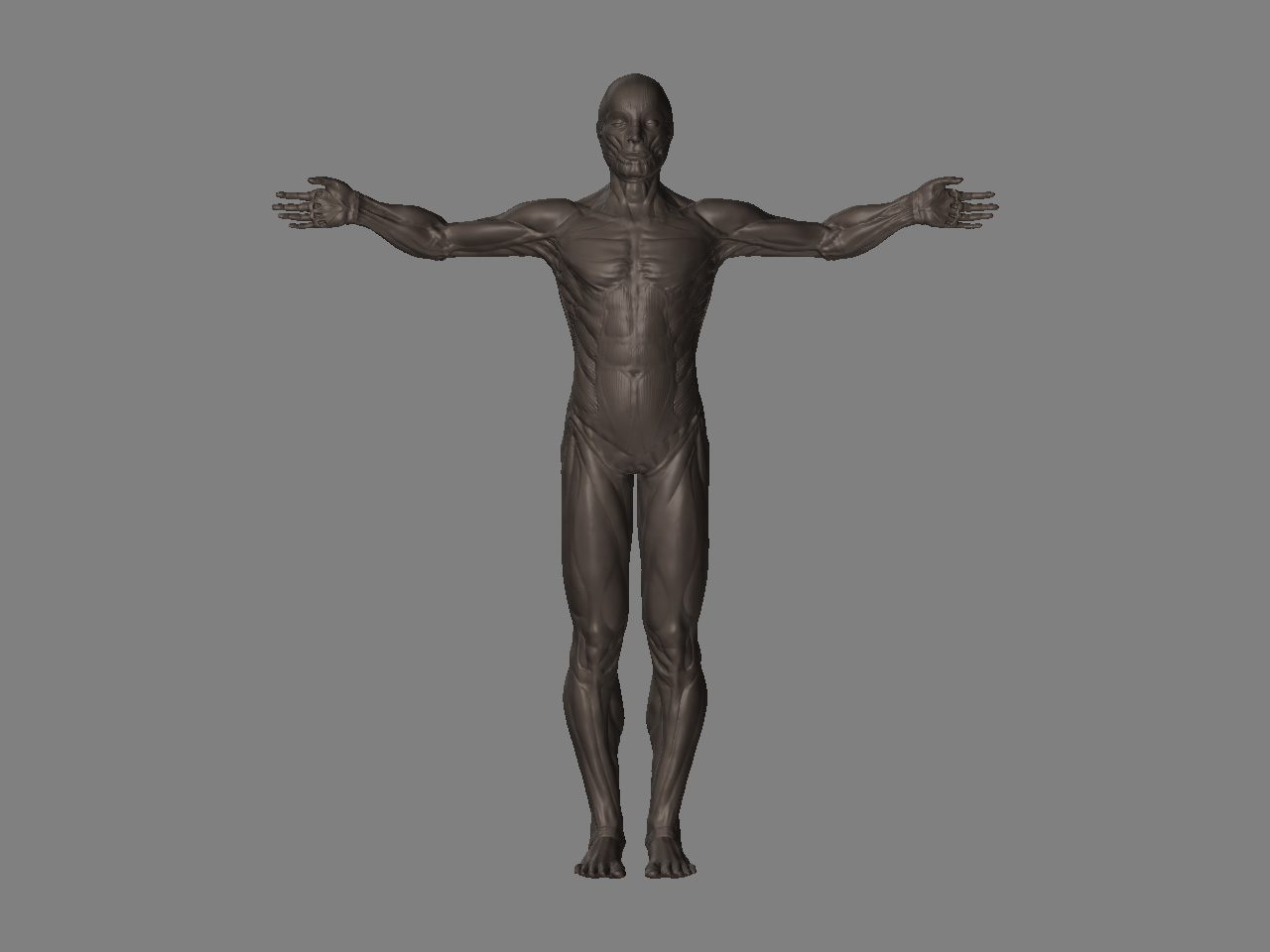 Front.jpg
