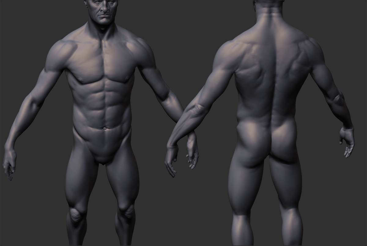 guard wip5.jpg