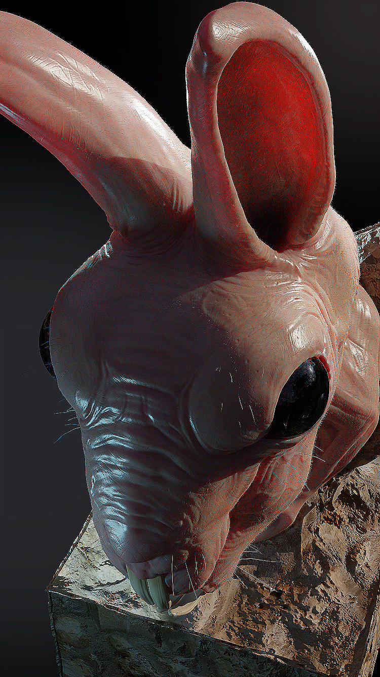 usagi4