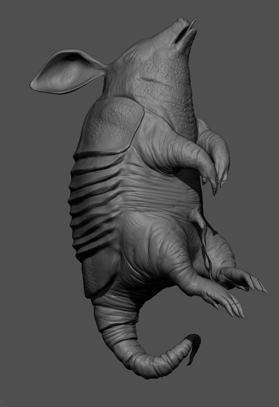Tatusia_3479_Zbrush04.jpg