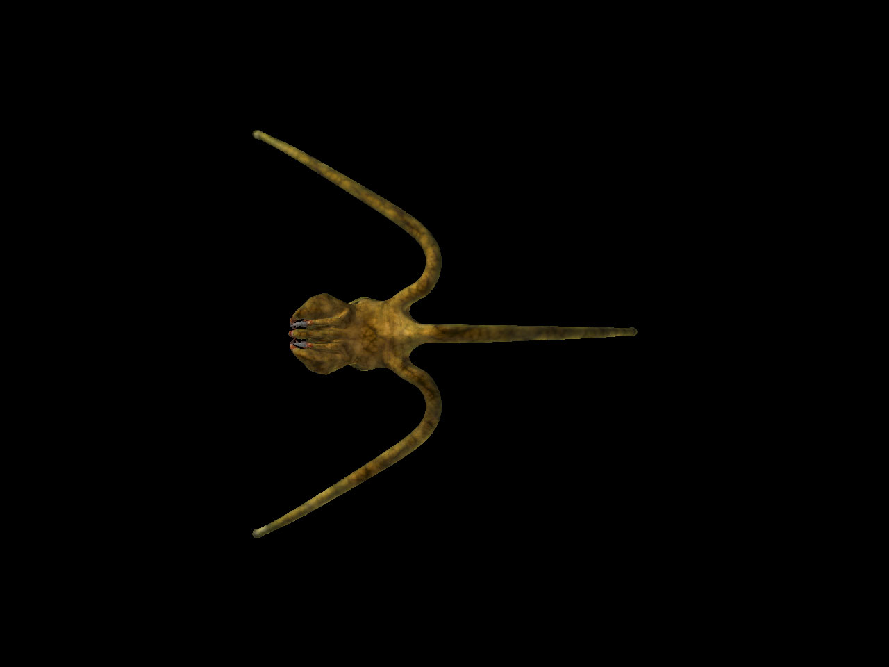 Spider-WIP-Top.jpg