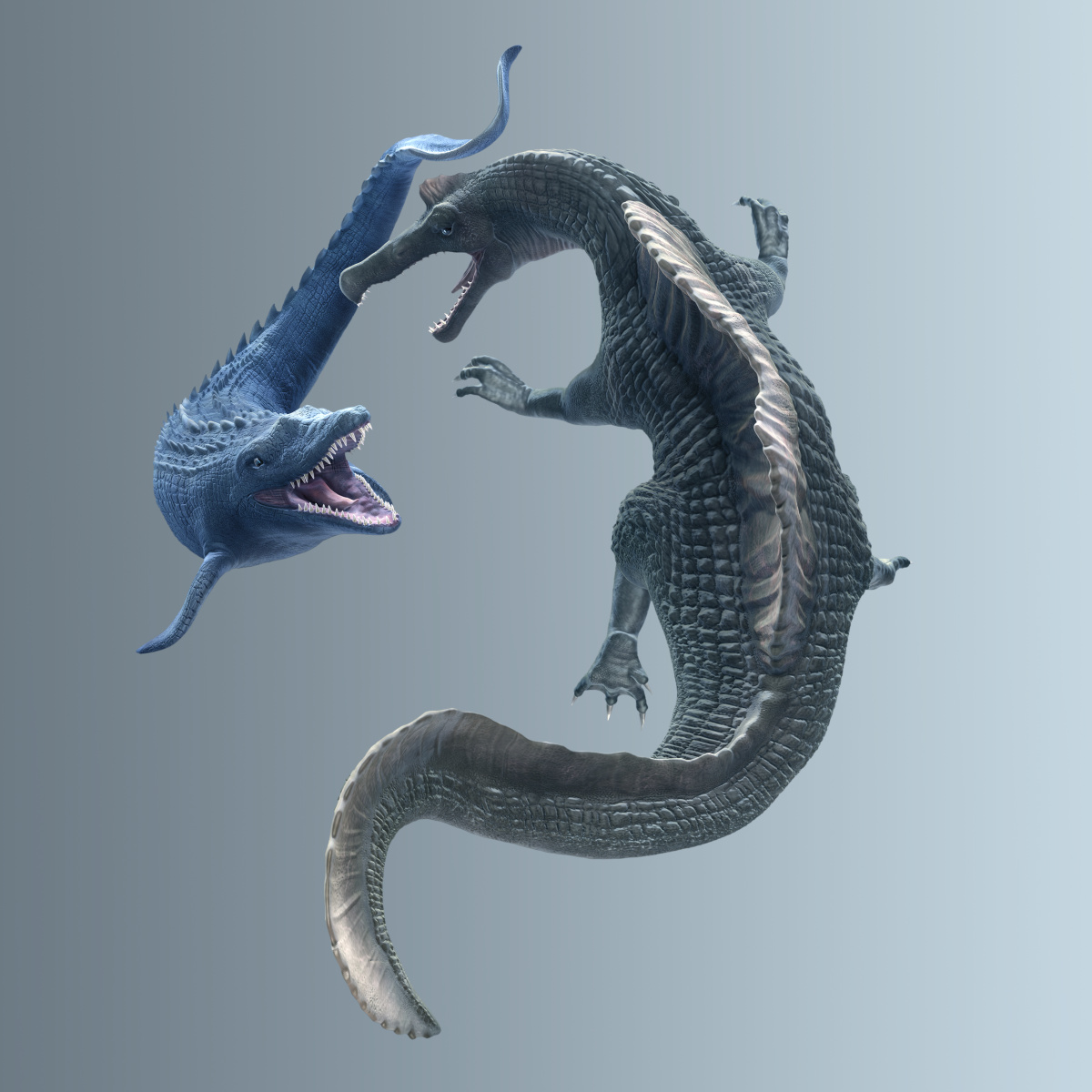 Spino_Mosa_C_s