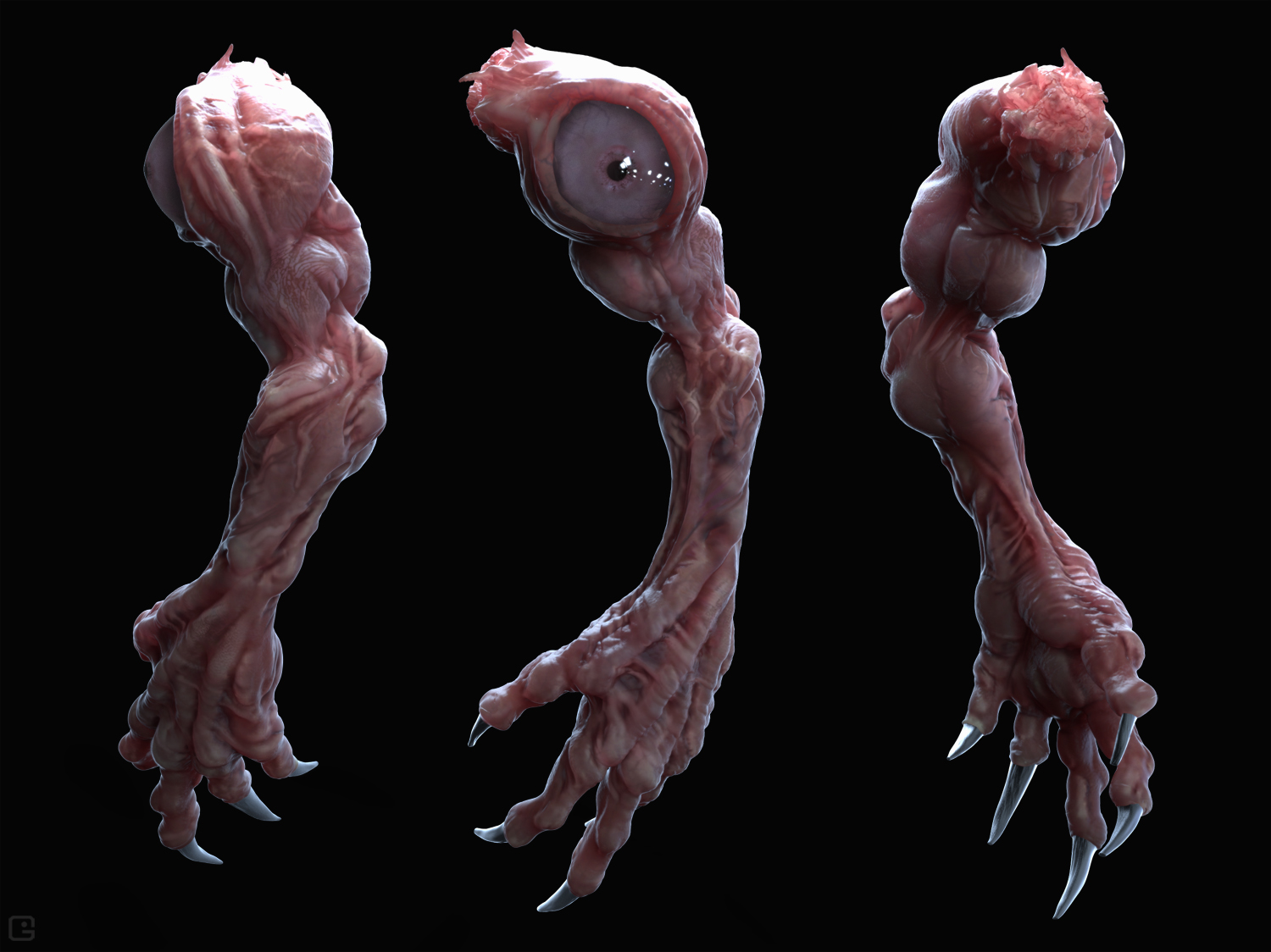 arm02.jpg