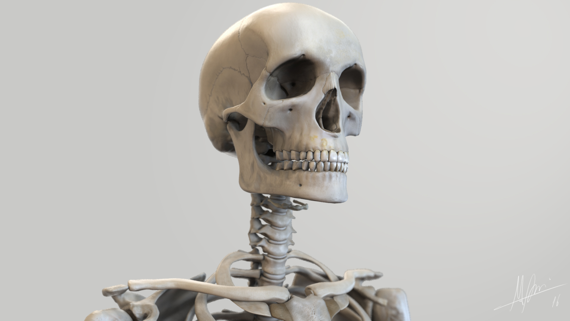 skeleton-skull.jpg