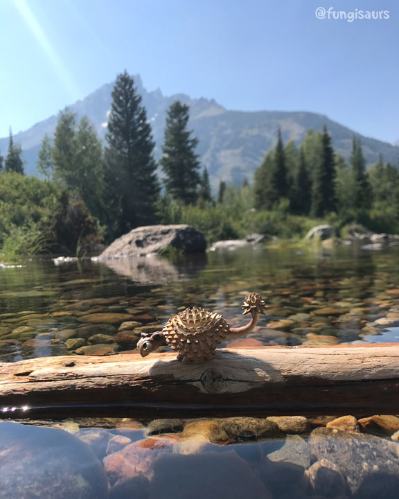Fungisaurs_grandteton.jpg