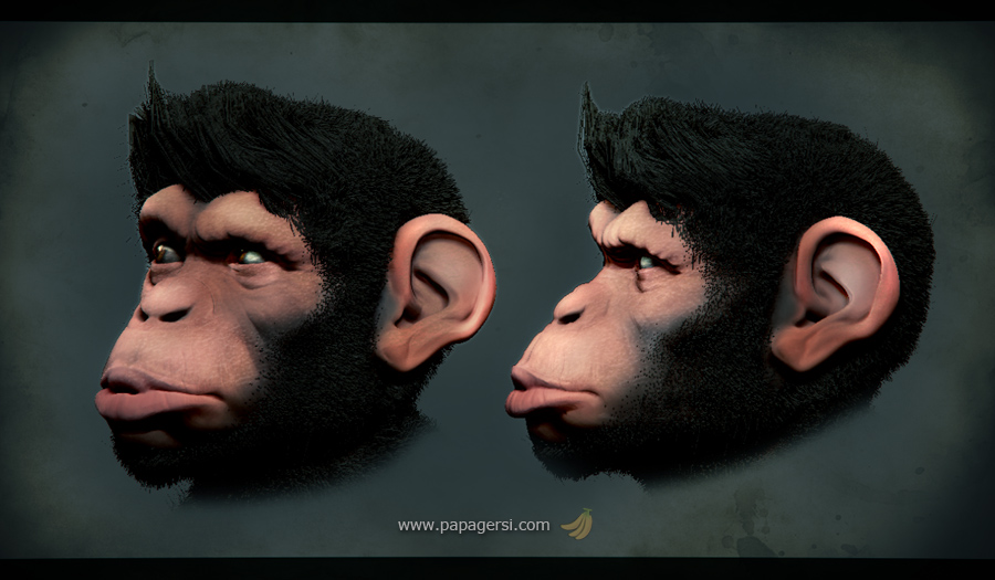 monkey.jpg
