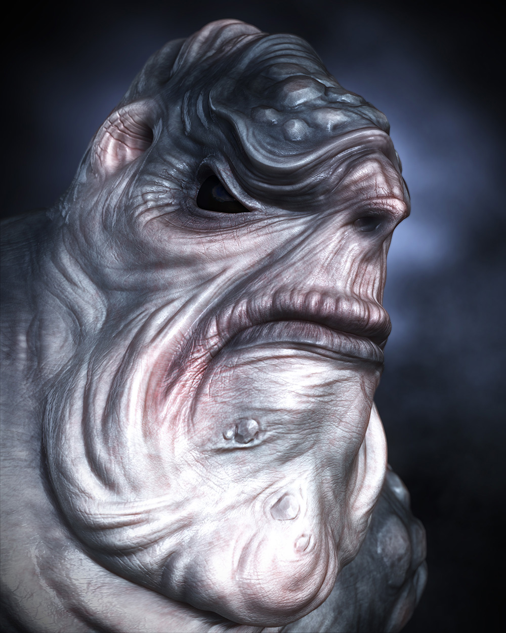 sharkyFinal_00000sm.jpg