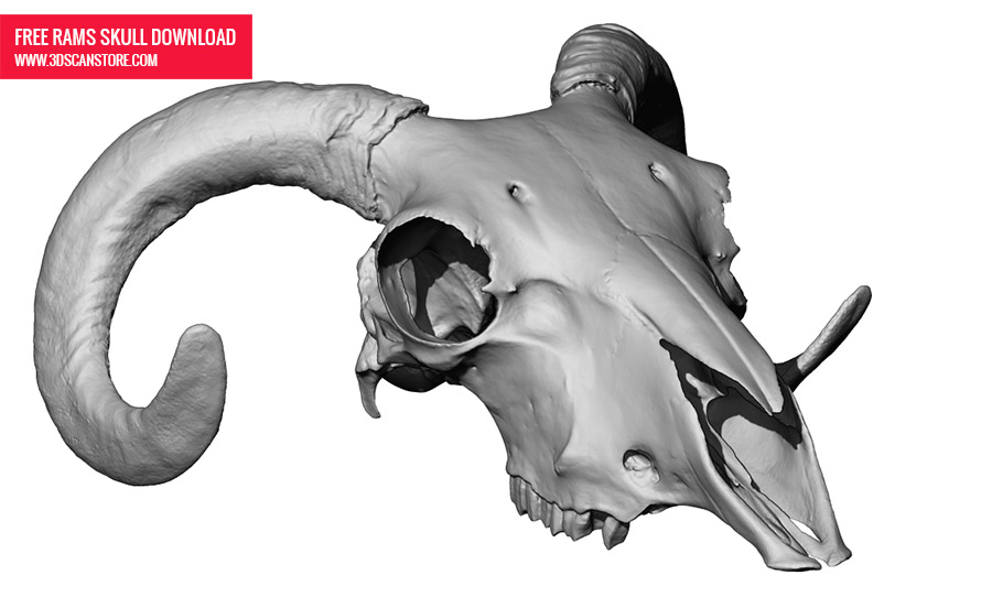 Skull Pub_01.jpg