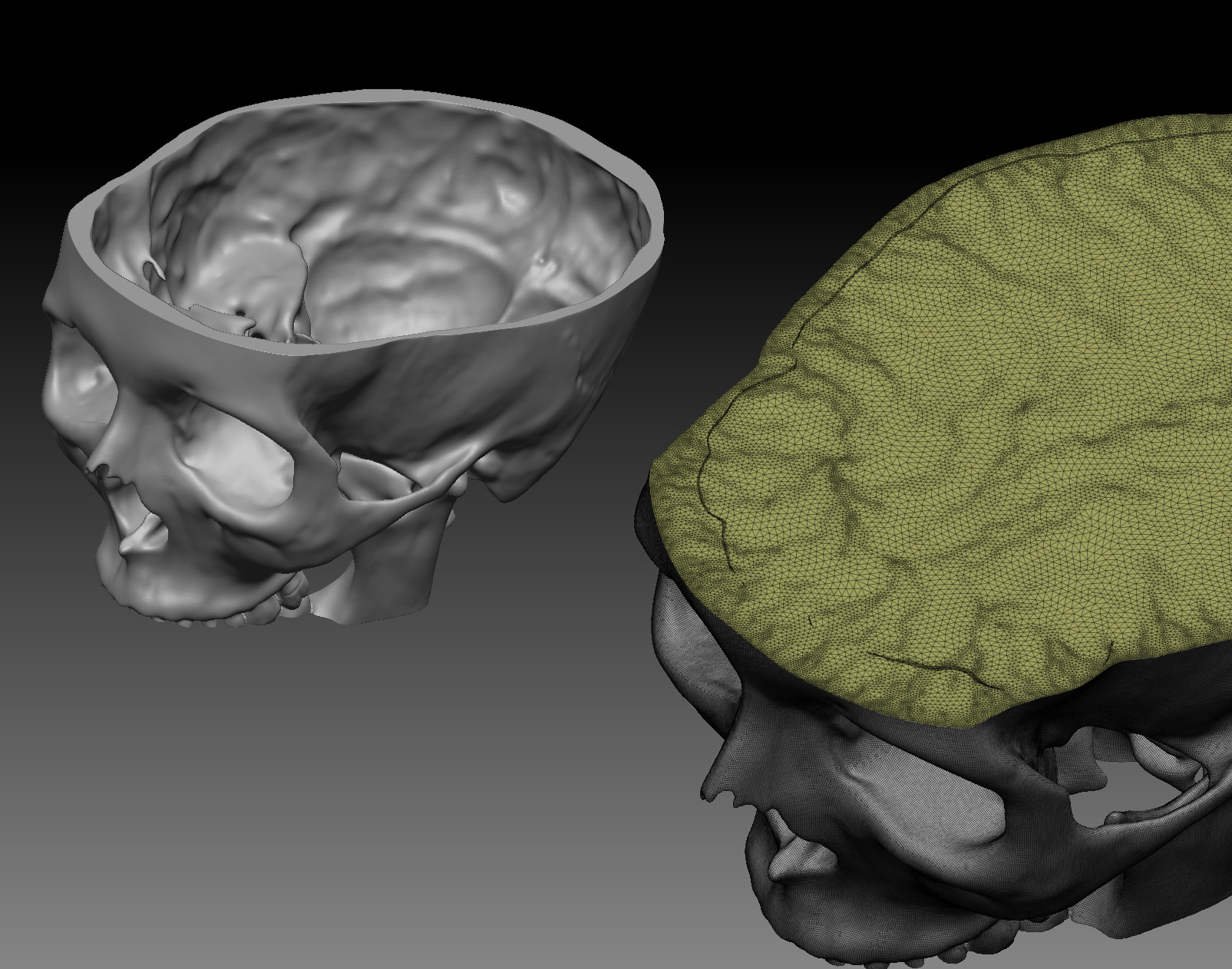 ZBrush Document.jpg