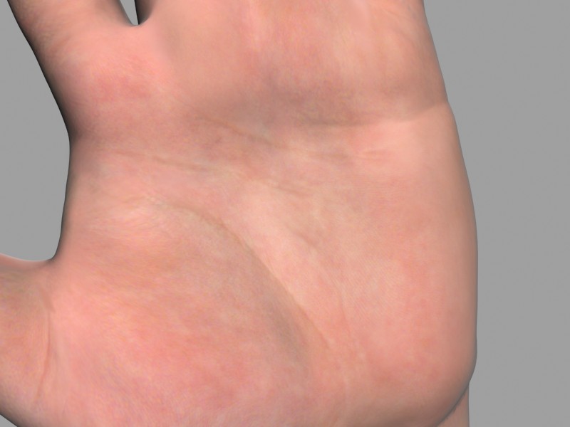 Hand_Render4.jpg