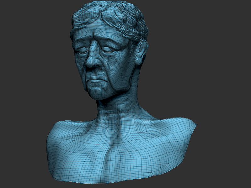 oldmanwithhairpolyframepic.jpg