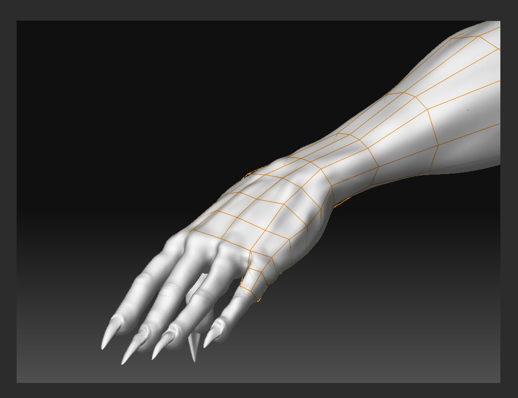 finger_topology.jpg