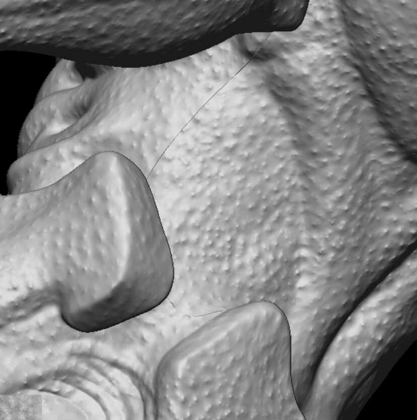 ZBrush_yZ5UESgbZV