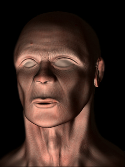 Faccia Rendered.jpg