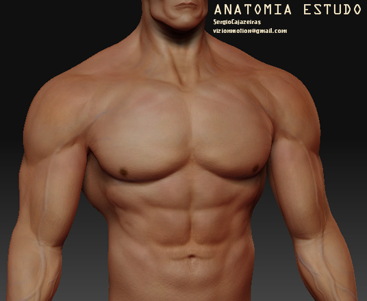 AnatoEstudo01.jpg