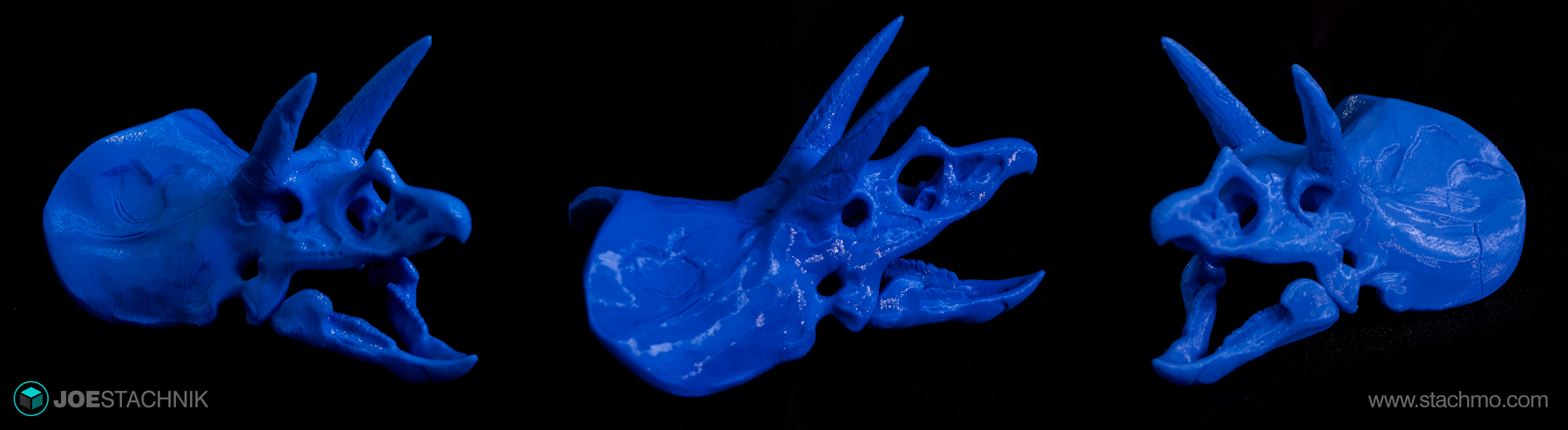 Stachmo_JoeStachnik_Triceratops_PhotoCompila.png