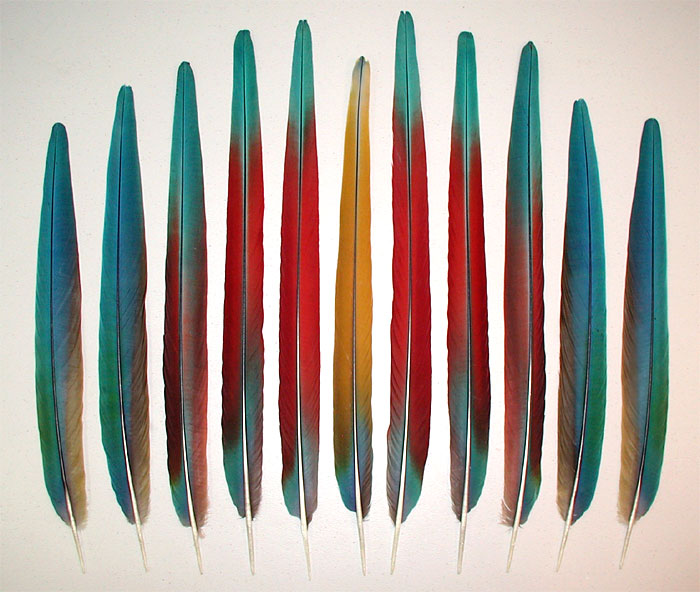 11_MixedFan-Frt.jpg