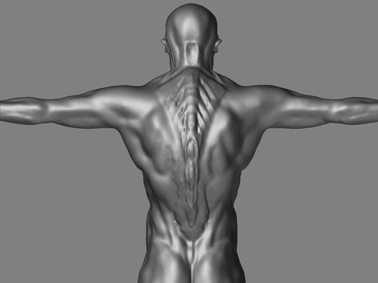 creature back3.JPG