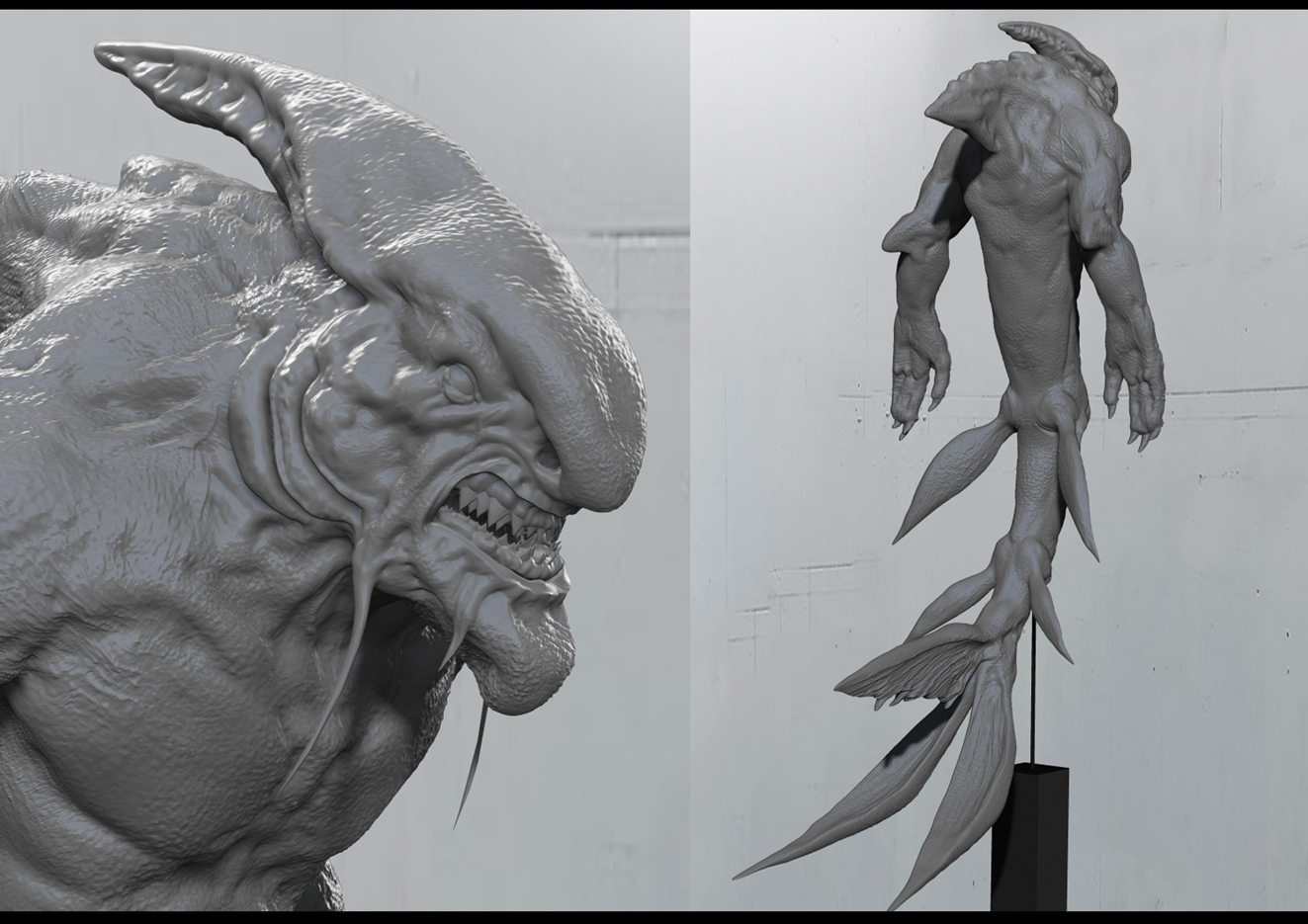 sea-razor06.jpg