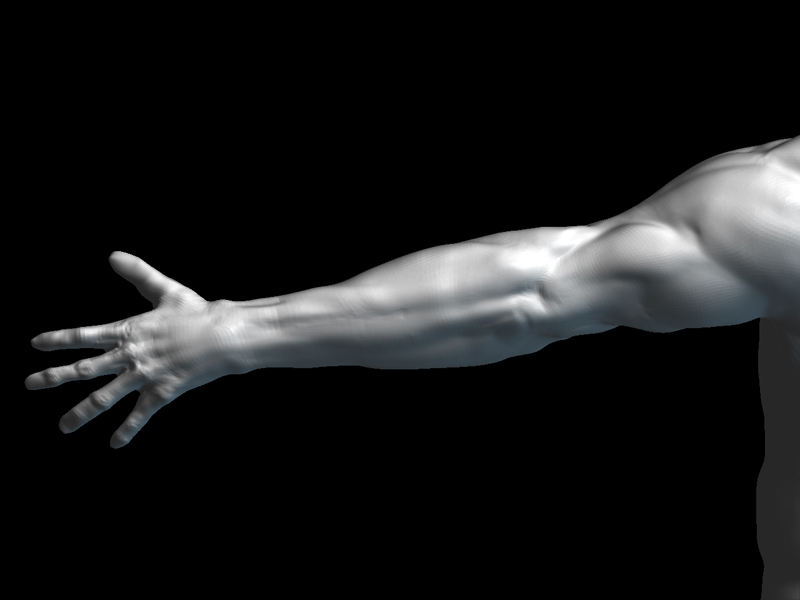 arm.jpg