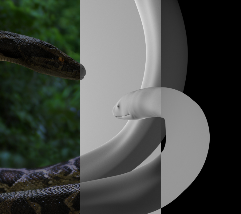 Snake_Comp02