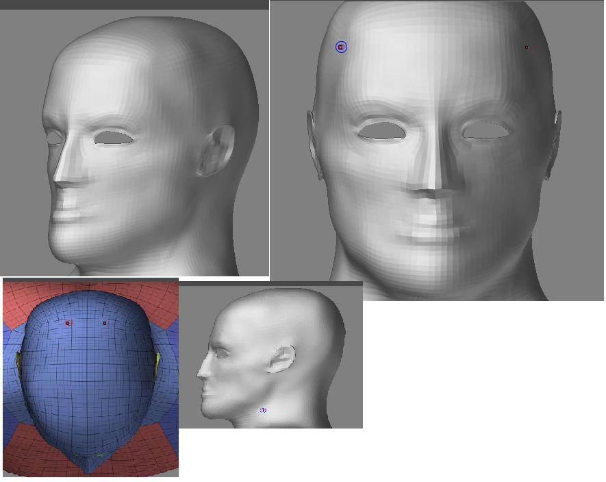 head.JPG