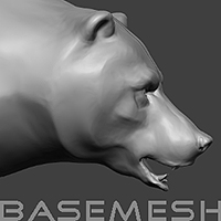 bear-3d-model-bese-mesh-01.jpg