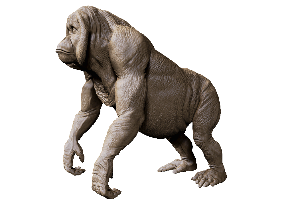 BPR_Render2.png