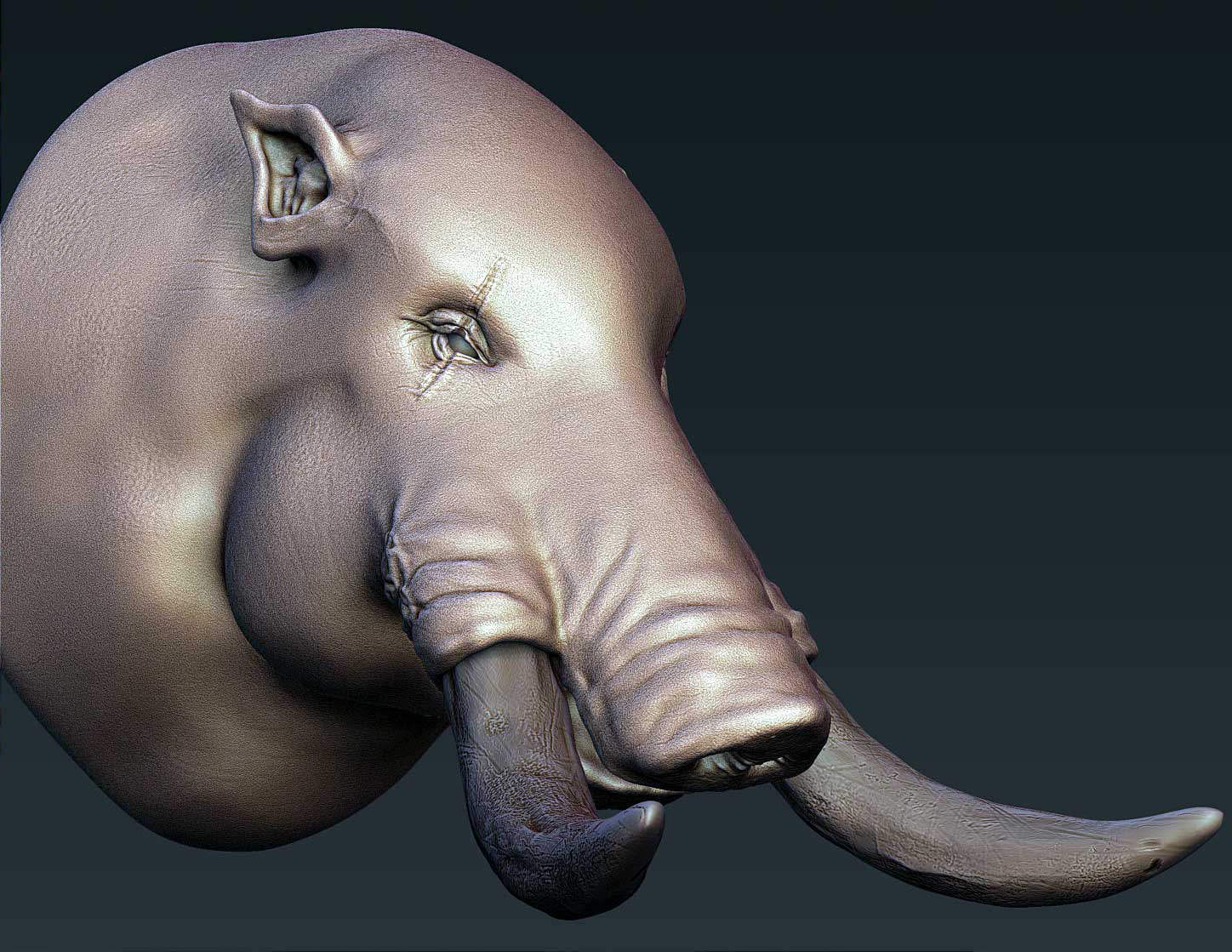 busto_jabali_final_high9.jpg