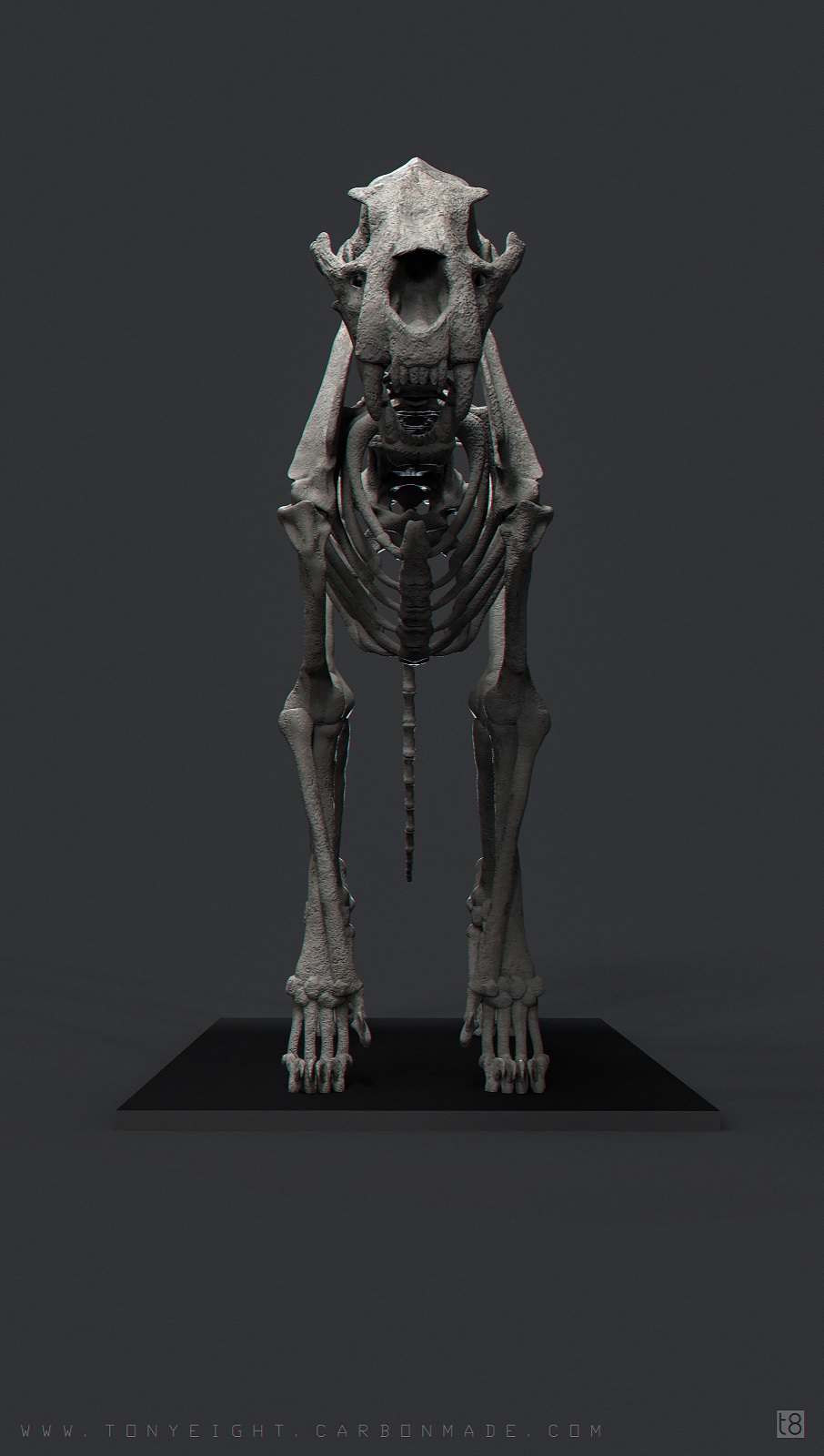 Lion_front_01_small.jpg