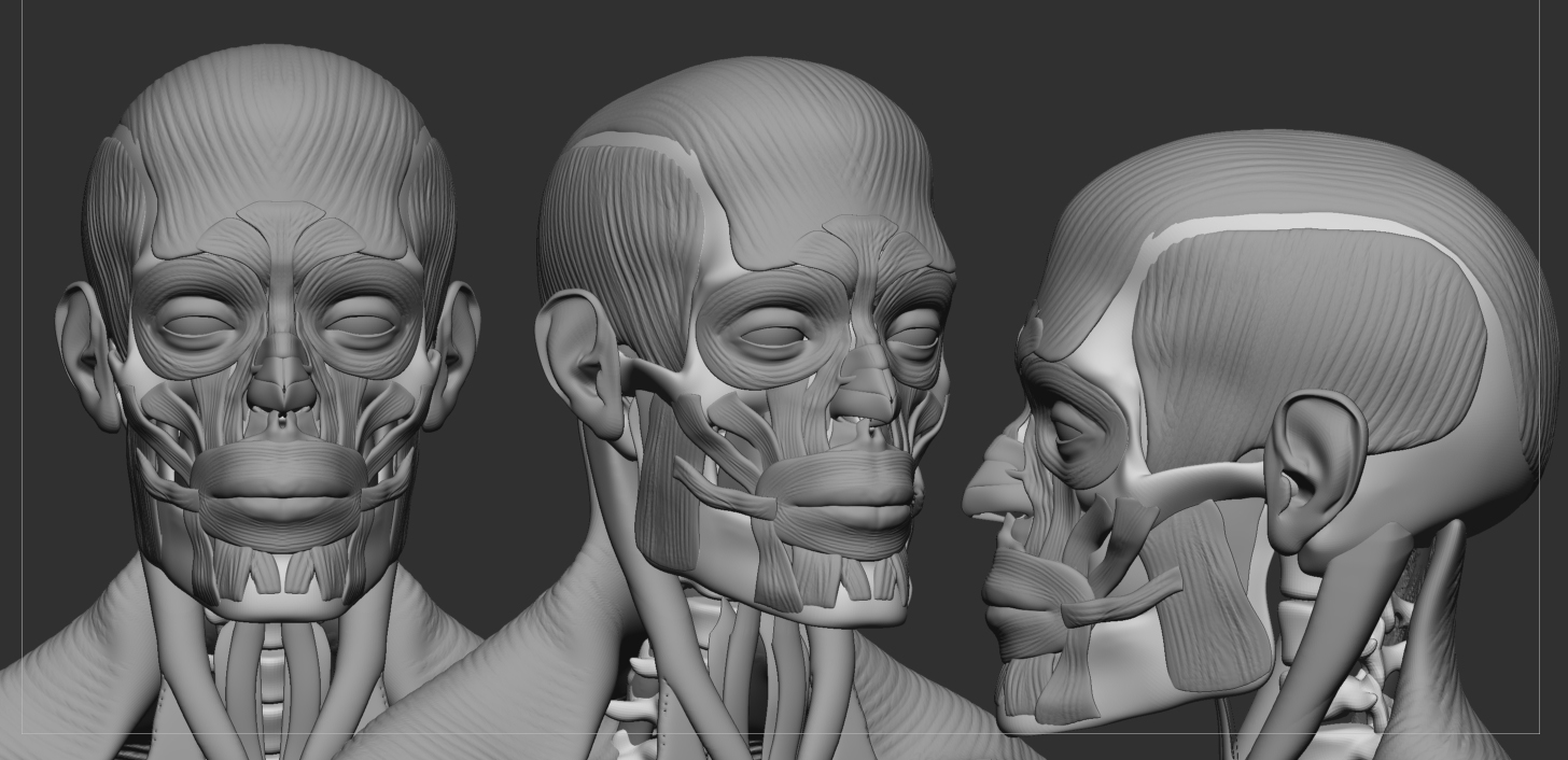 ZBrush ScreenGrab04.jpg