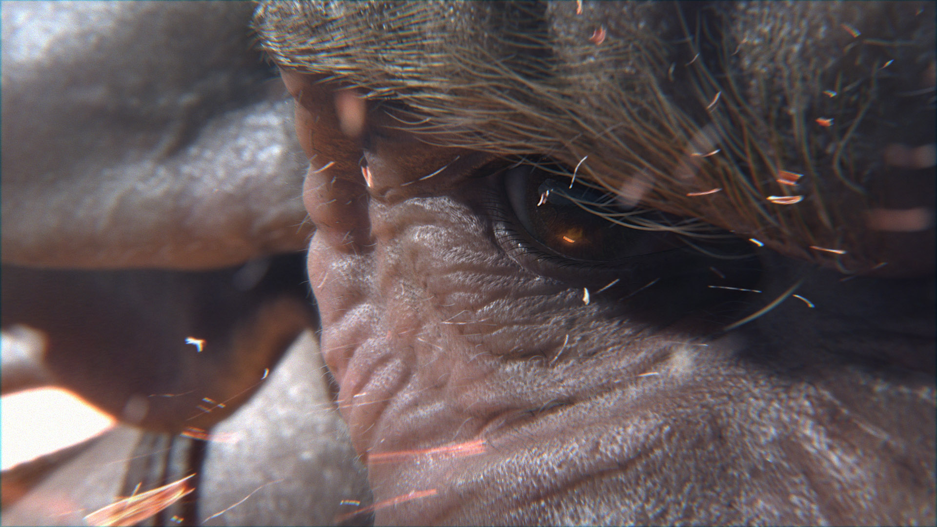 CloseUP02.jpg