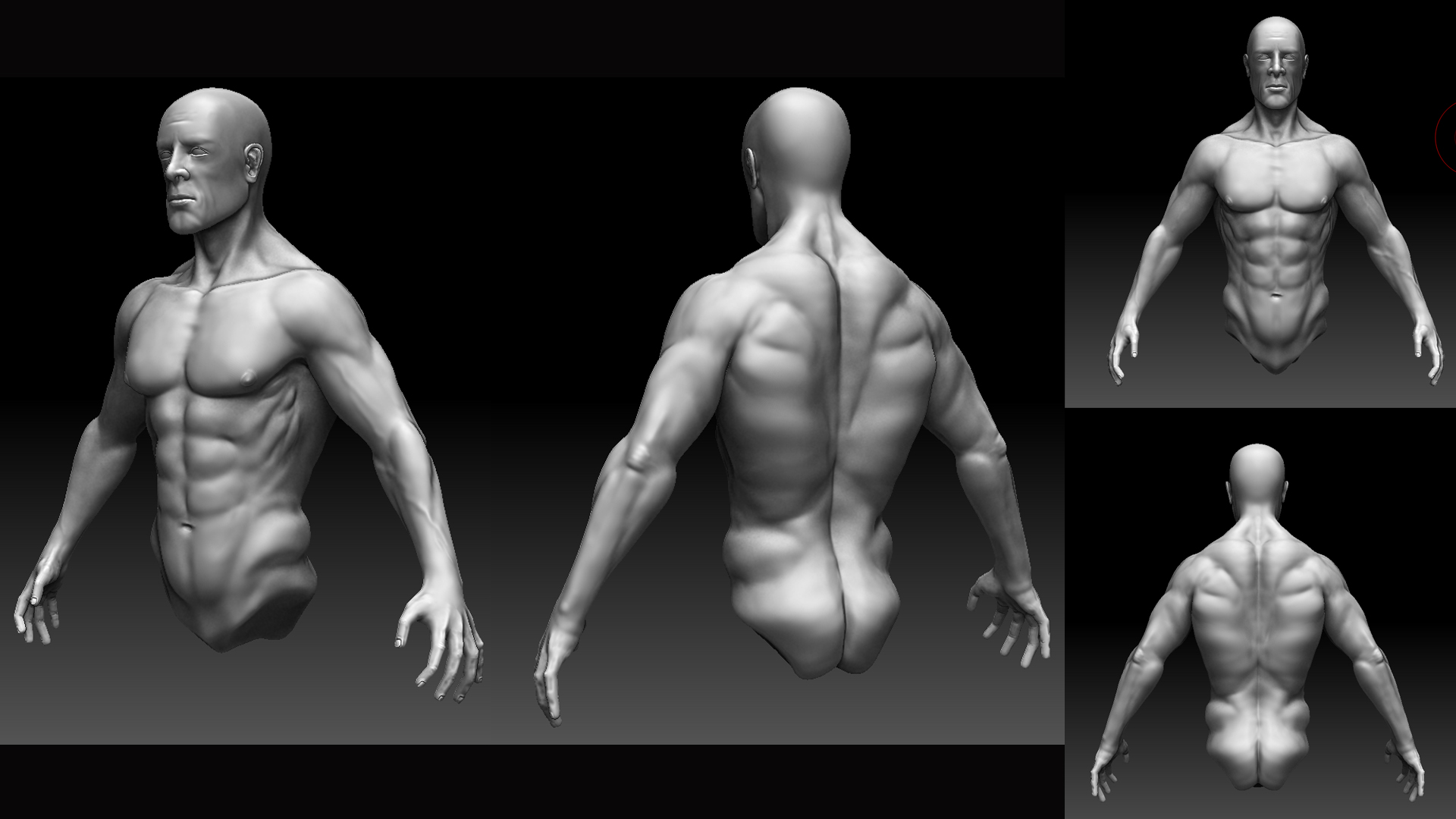 Head_Torso_arms_hand.jpg