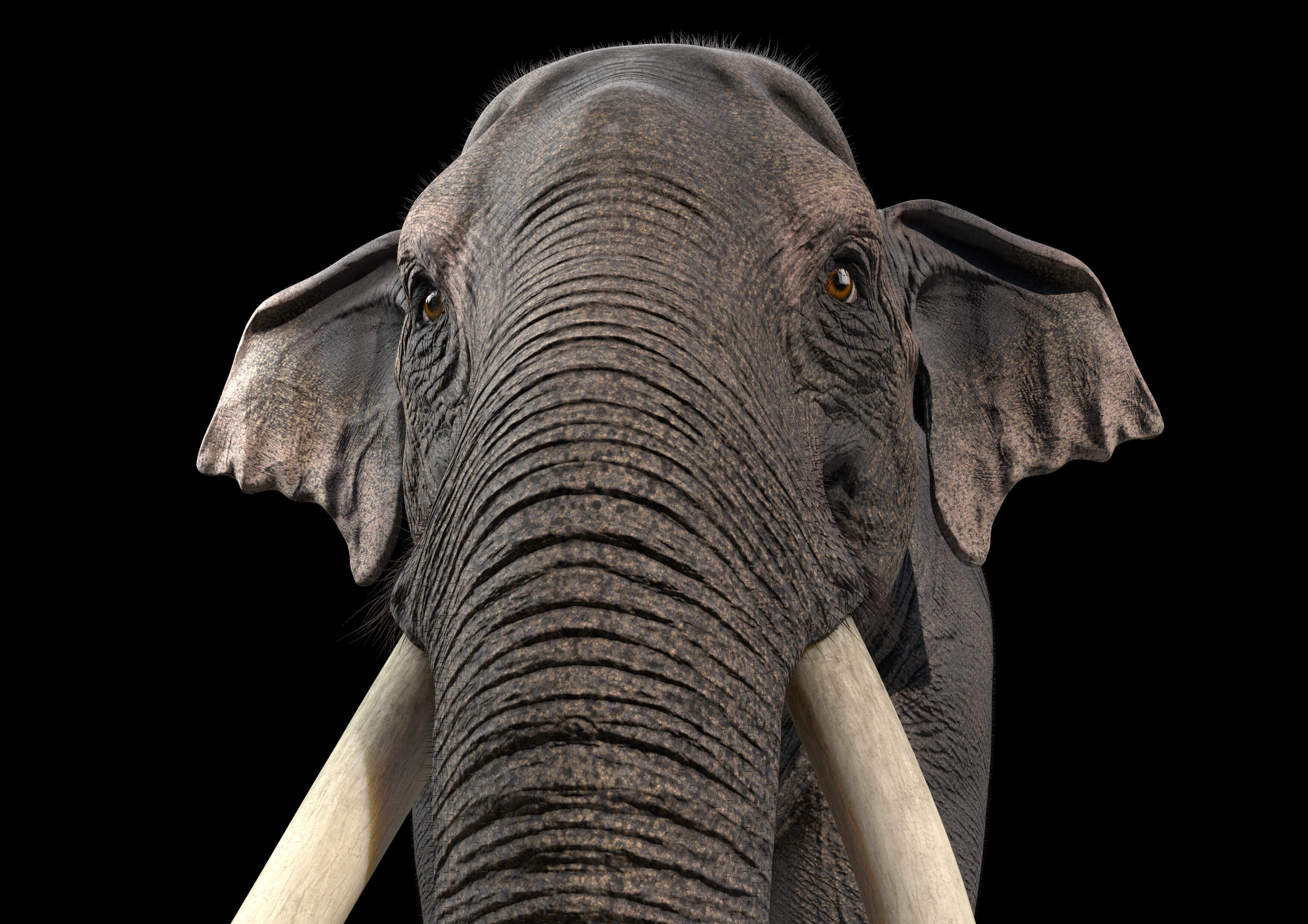 maya 2022 retopology maya 2022 retopology