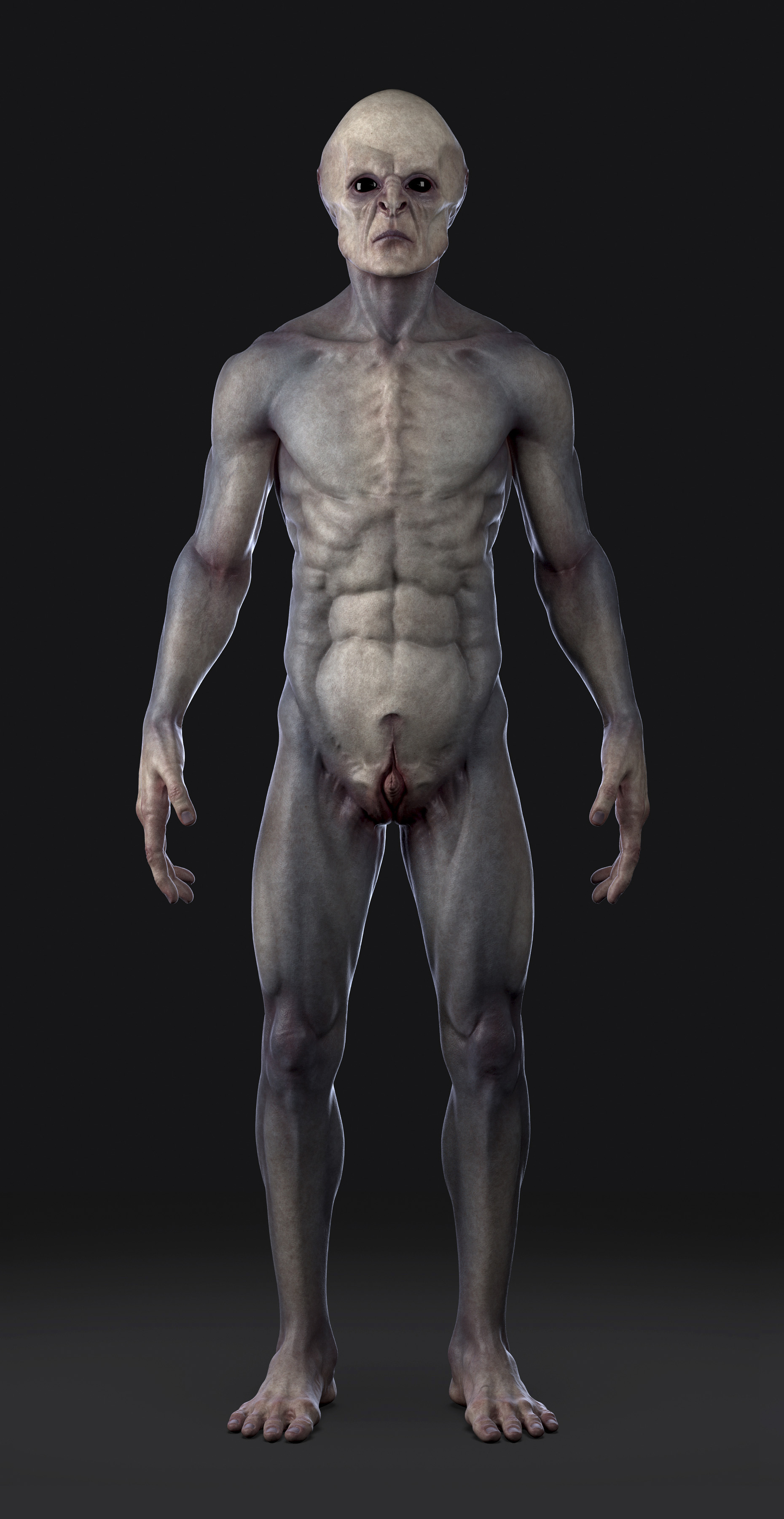 ZC_02.jpg