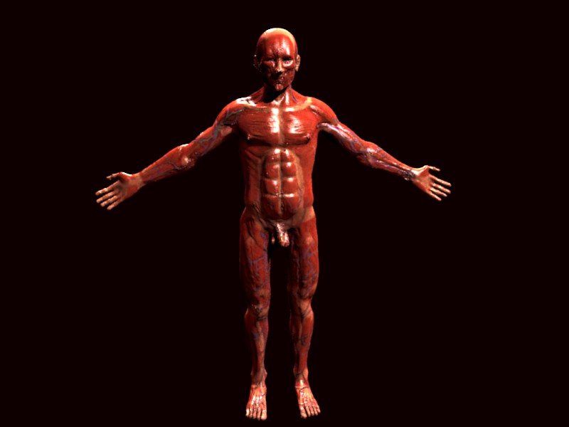 frontskinned.jpg