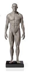 famfv2-1-6scale_000.jpg