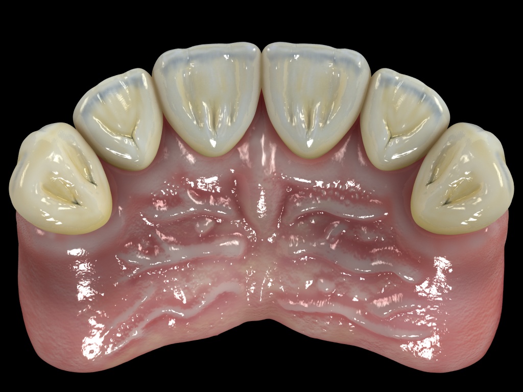 encia+dientes6.jpg