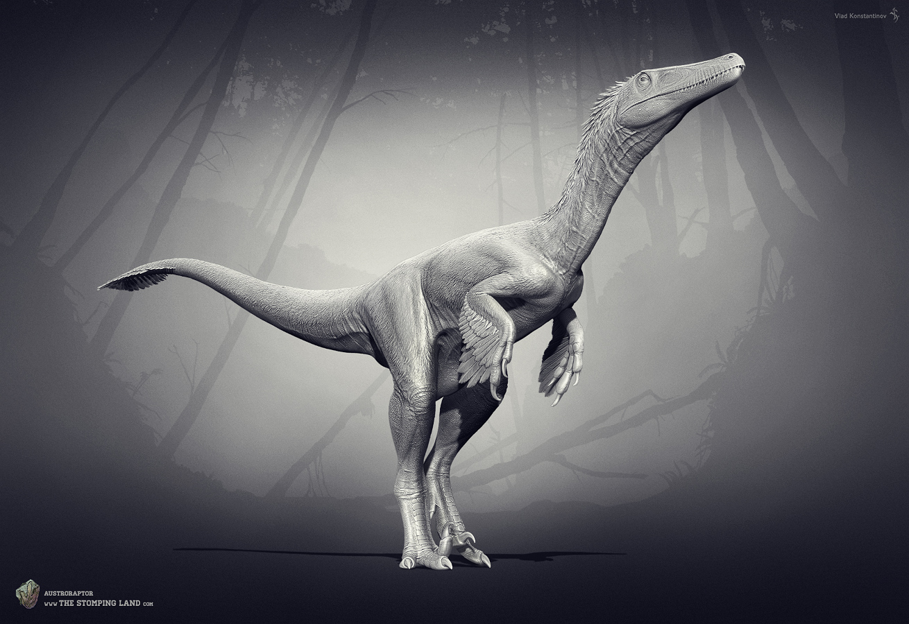 Austroraptor_02(1310).jpg
