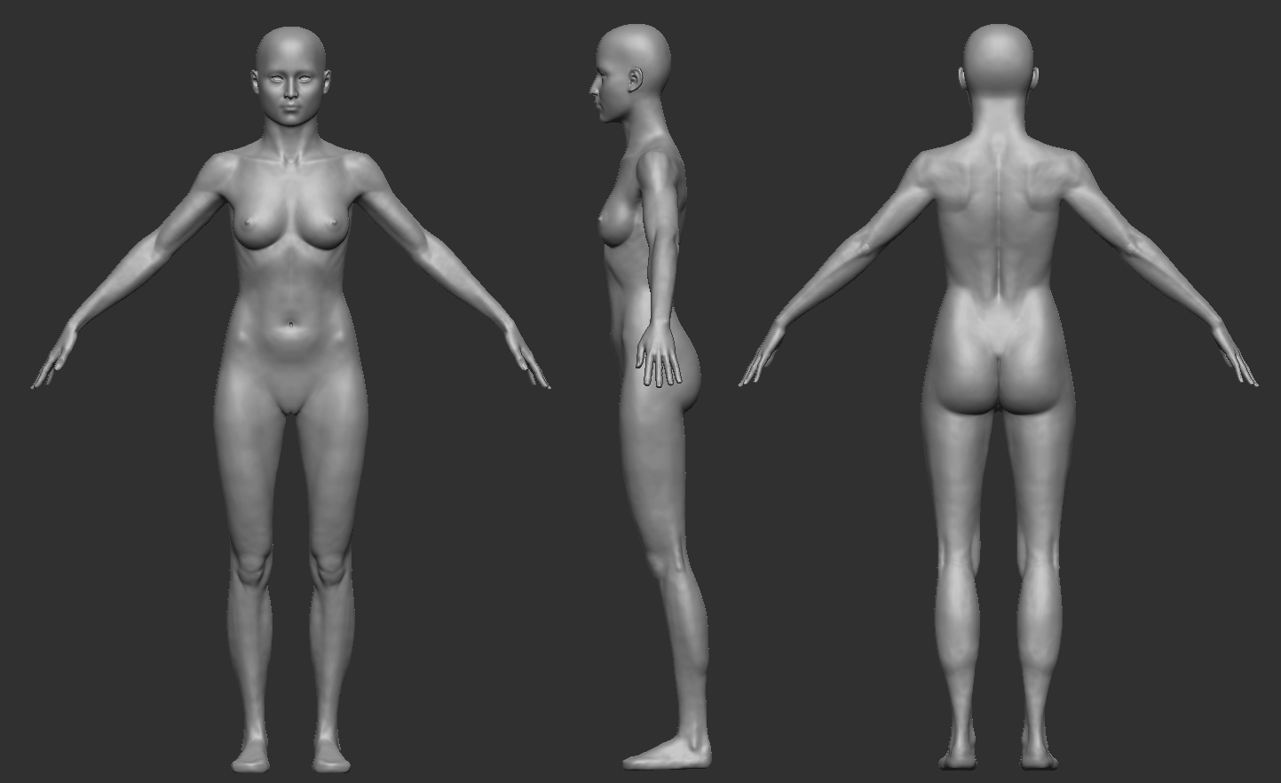 bodyAnatomy-01.jpg
