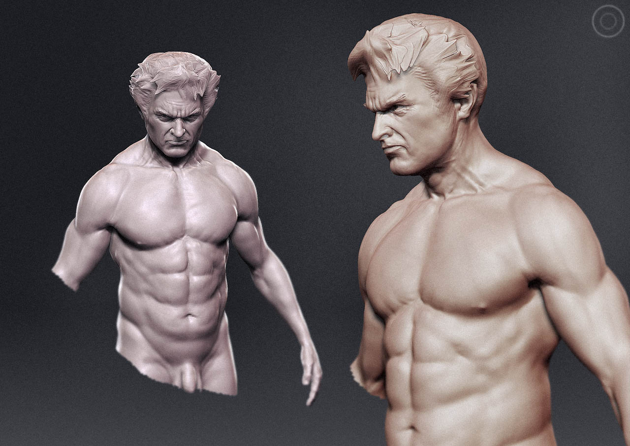 torso005.jpg