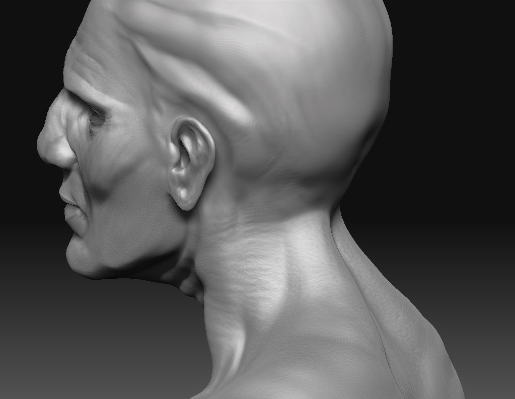 aged_head6.jpg