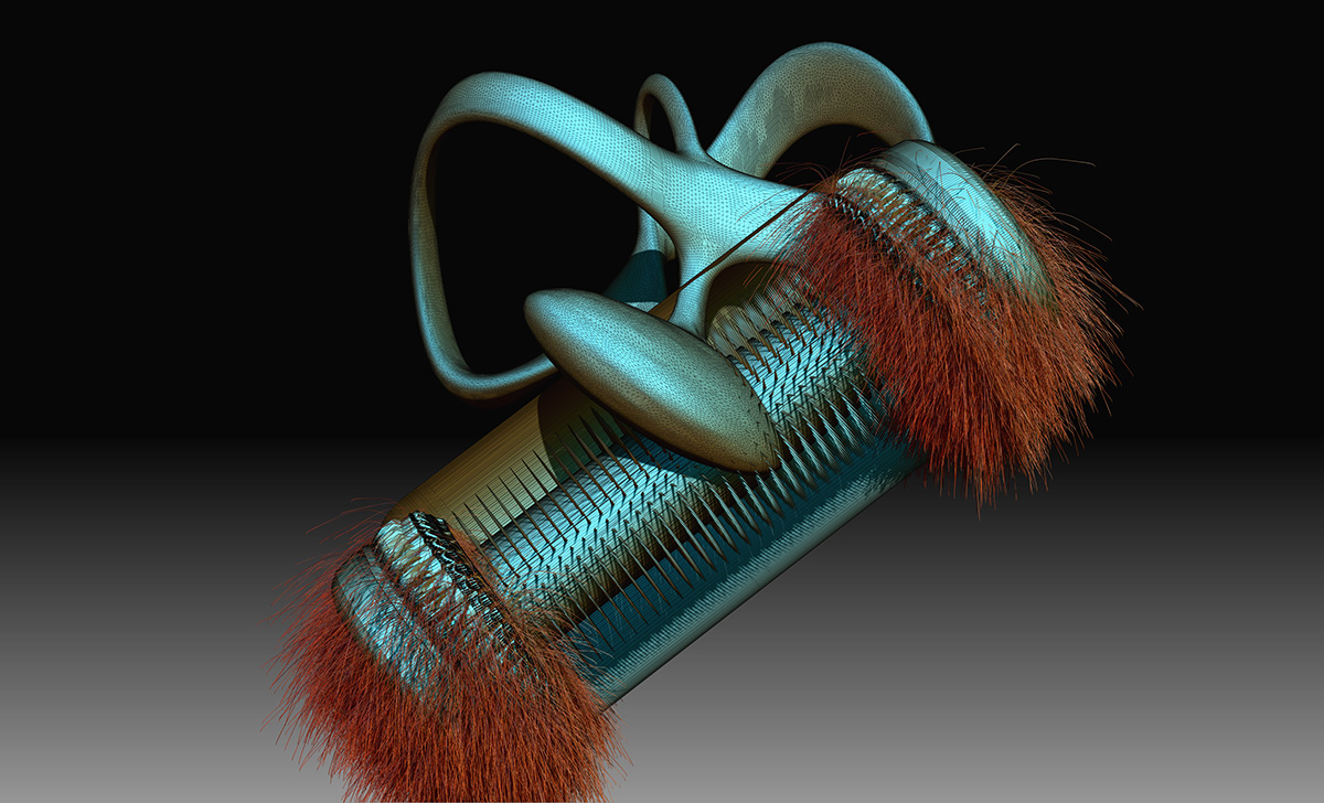 hairyMerged.jpg