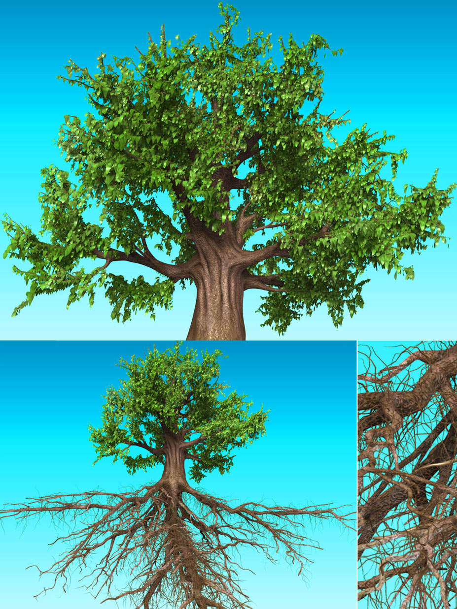 treee.jpg