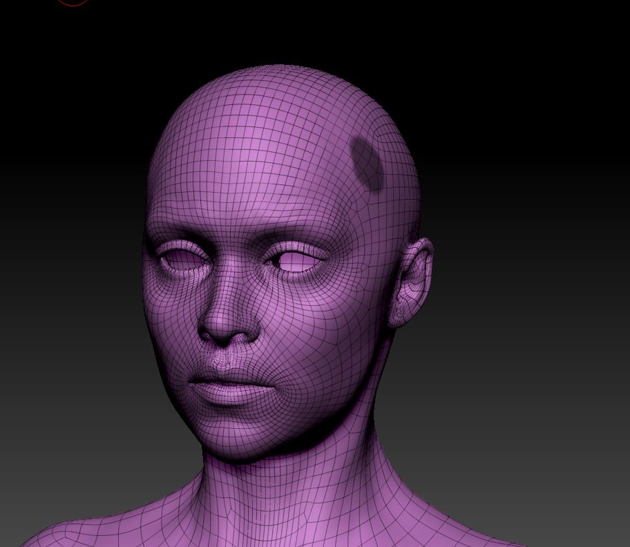 FIBERMESH1