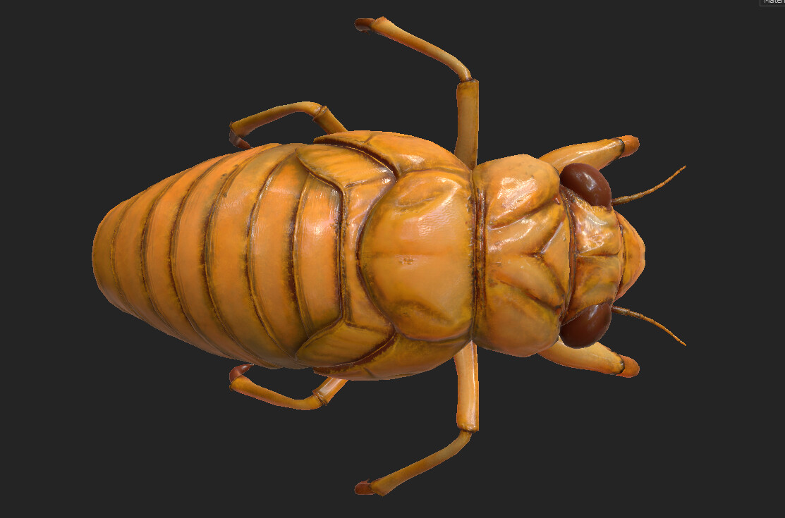 eric-keller-cicada-nymph-textured-03