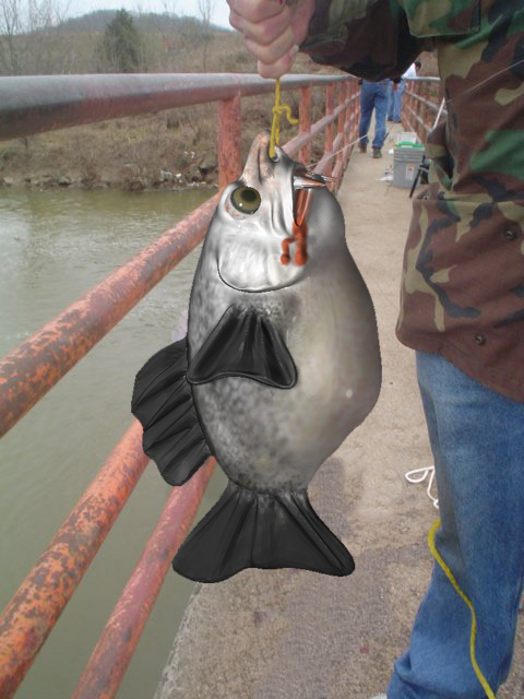 catfish31J.jpg