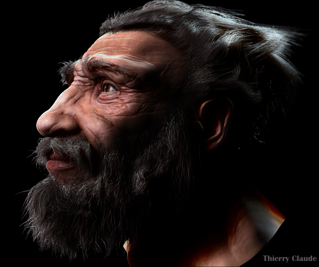 neanderthal05.jpg