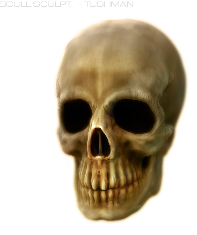 skullrend.jpg